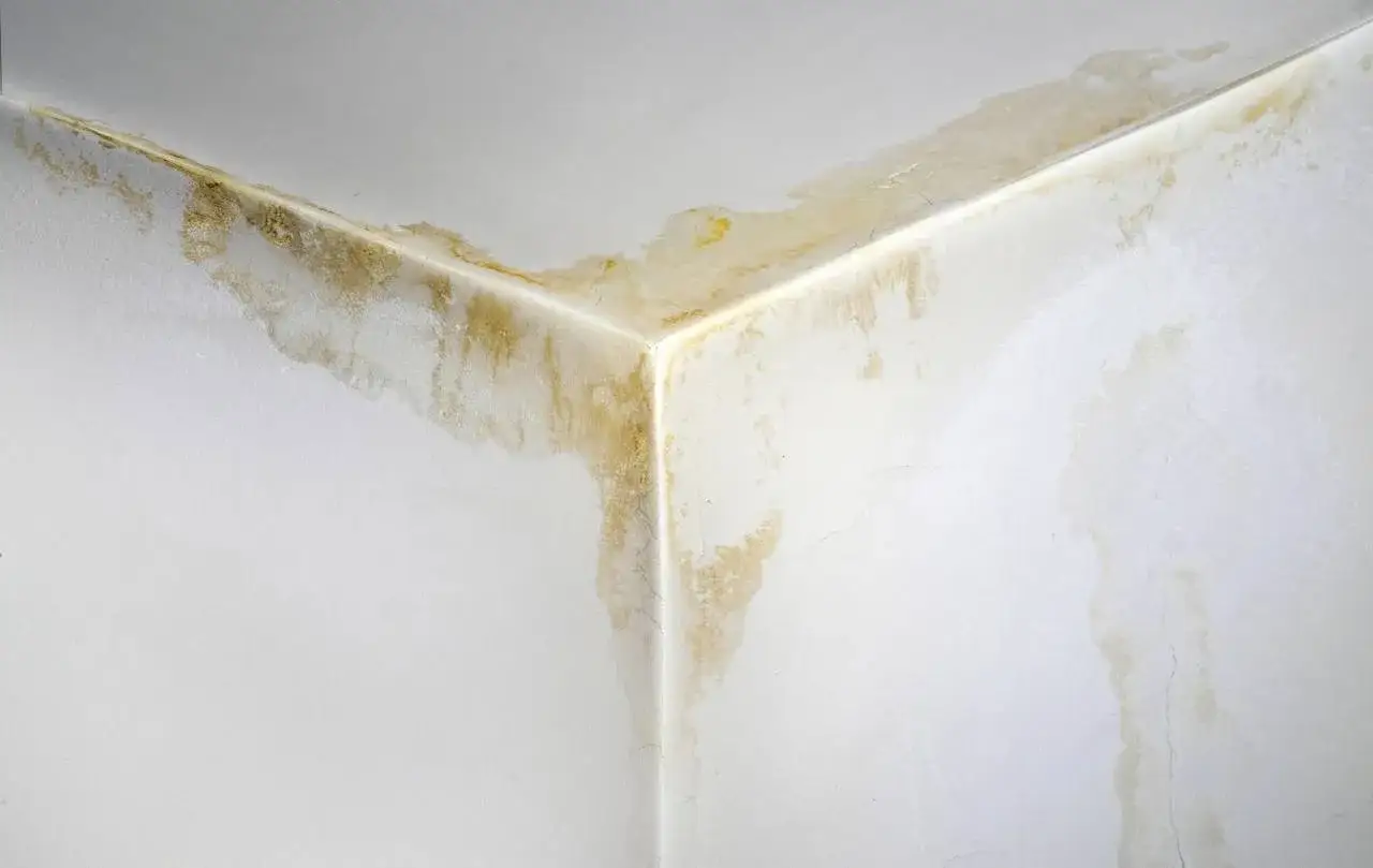 Angolo di un soffitto con macchie gialle su cartongesso, segno di infiltrazioni d'acqua.
